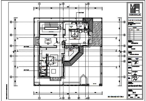 Thiết kế và thi công biệt thự có tầng hầm mang phong cách độc đáo